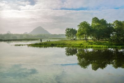 晨雾中的大剧院湿地2
