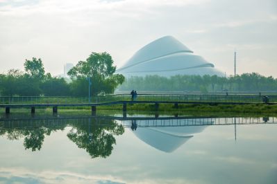 晨雾中的大剧院湿地2