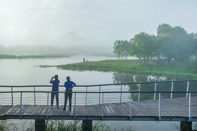 晨雾中的大剧院湿地1