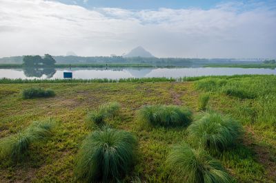 晨雾中的大剧院湿地1