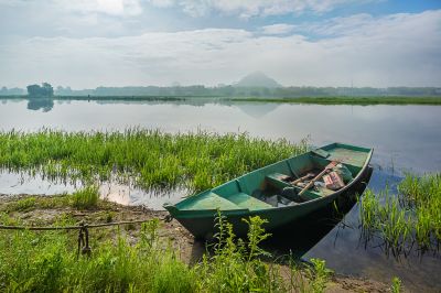 晨雾中的大剧院湿地1