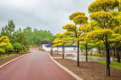 雨中的中国亭园2