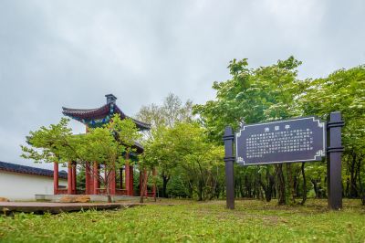 雨中的中国亭园2