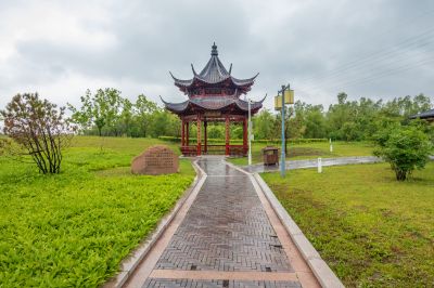雨中的中国亭园2