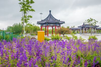 雨中的中国亭园2