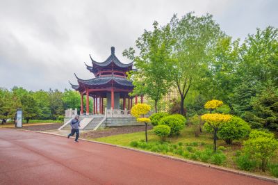 雨中的中国亭园2