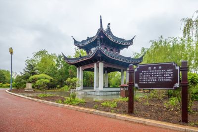 雨中的中国亭园2