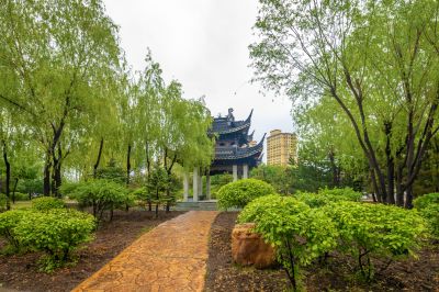 雨中的中国亭园2