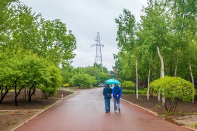 雨中的中国亭园2