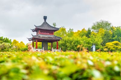 雨中的中国亭园1