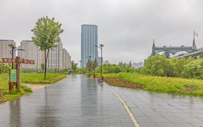雨中外滩湿地