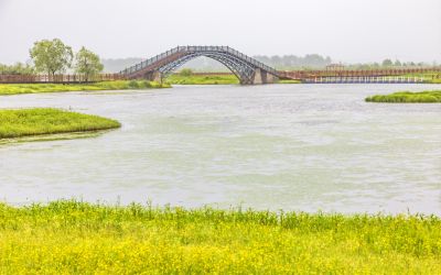雨中外滩湿地