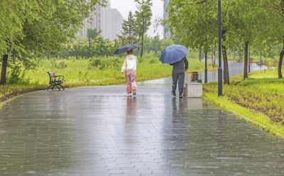 雨中外滩湿地