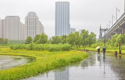 雨中外滩湿地