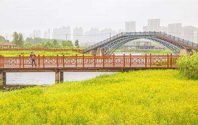 雨中外滩湿地