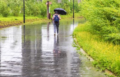 雨中外滩湿地