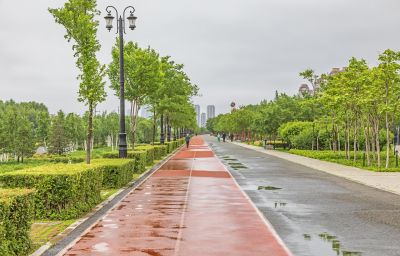 雨中外滩湿地