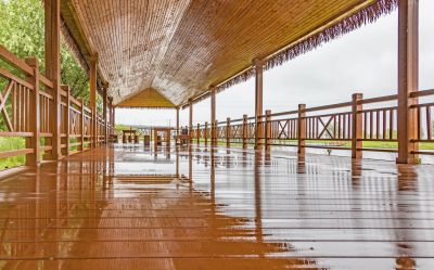 雨中外滩湿地