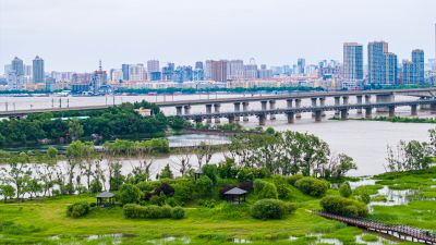 松花江湿地