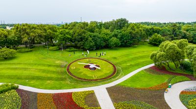 太阳岛草平钟表