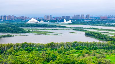 大剧院湿地