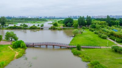 大剧院湿地