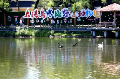 太阳岛风景美