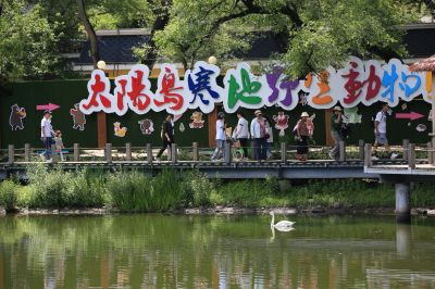太阳岛风景美
