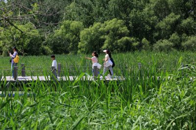 太阳岛风景美