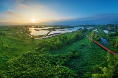 薄雾中的阳明滩湿地