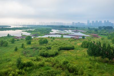 薄雾中的阳明滩湿地