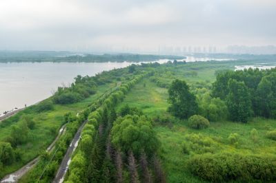 薄雾中的阳明滩湿地