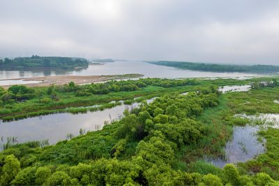 薄雾中的阳明滩湿地