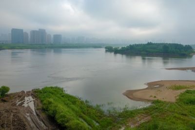 薄雾中的阳明滩湿地