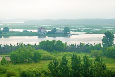 薄雾中的阳明滩湿地