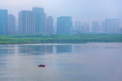 薄雾中的阳明滩湿地