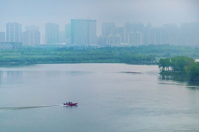 薄雾中的阳明滩湿地