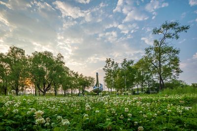 晨风习习太阳岛