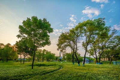 晨风习习太阳岛