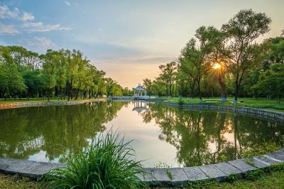 晨风习习太阳岛