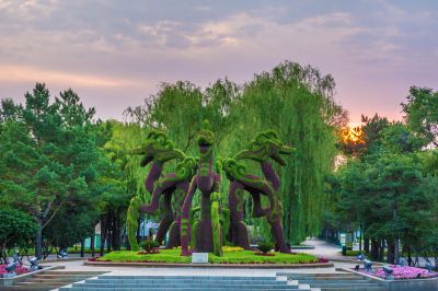 晨风习习太阳岛