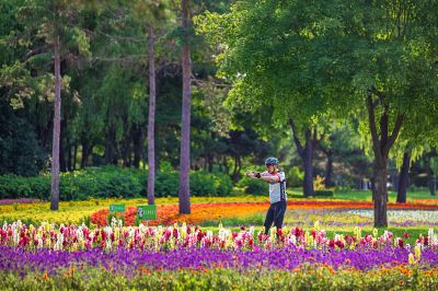 晨风习习太阳岛