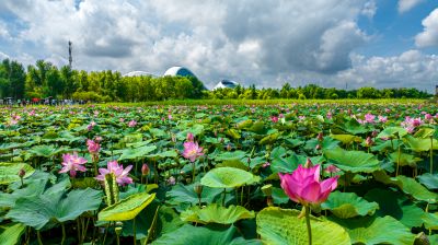 哈尔滨大剧院风光