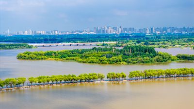 松花江湿地