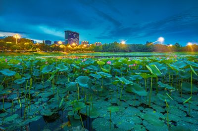 松花江及松北新区夏日风景