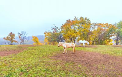 伊春九峰山养心谷风景区