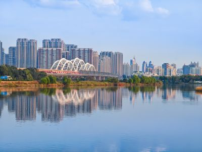 城市
