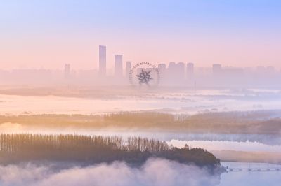 城市