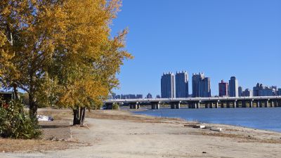 城市