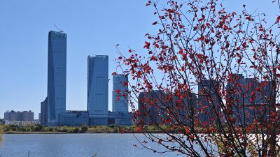 城市
